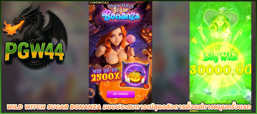 WILD WITCH SUGAR BONANZA